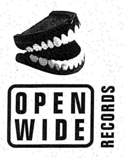 OPEN WIDE RECORDS trademark