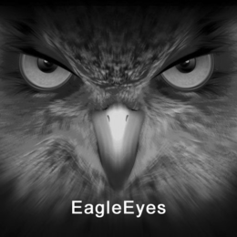 EAGLEEYES trademark