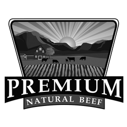 PREMIUM NATURAL BEEF trademark