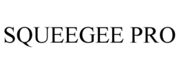 SQUEEGEE PRO trademark