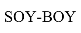 SOY-BOY trademark