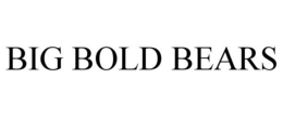 BIG BOLD BEARS trademark