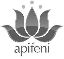 APIFENI trademark