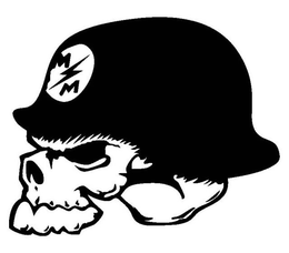 MSM trademark