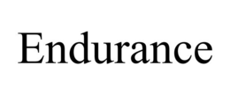ENDURANCE trademark