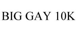 BIG GAY 10K trademark