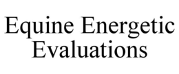 EQUINE ENERGETIC EVALUATIONS trademark