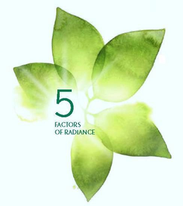 5 FACTORS OF RADIANCE trademark