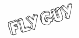 FLY GUY trademark