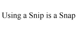 USING A SNIP IS A SNAP trademark