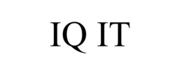 IQ IT trademark