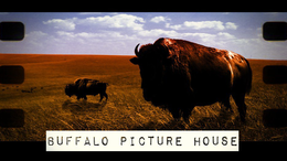 BUFFALO PICTURE HOUSE trademark