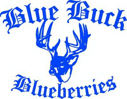 BLUE BUCK BLUEBERRIES trademark