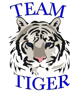 TEAM TIGER trademark
