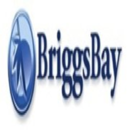 BRIGGSBAY trademark