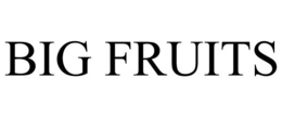 BIG FRUITS trademark