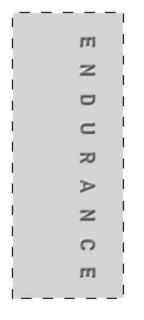 ENDURANCE trademark