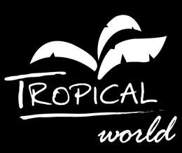 TROPICAL WORLD trademark