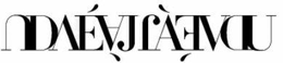 DEJA VU trademark