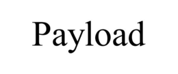 PAYLOAD trademark