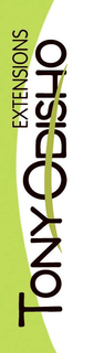 TONY ODISHO EXTENSIONS trademark