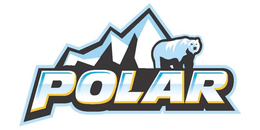 POLAR trademark