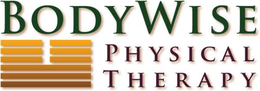 BODYWISE PHYSICAL THERAPY trademark