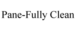 PANE-FULLY CLEAN trademark