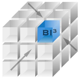 BI3 trademark