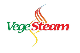 VEGESTEAM trademark