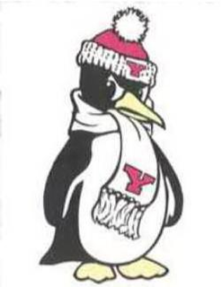 Y trademark
