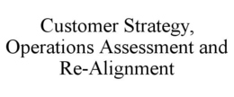 CUSTOMER STRATEGY, OPERATIONS ASSESSMENT AND RE-ALIGNMENT trademark