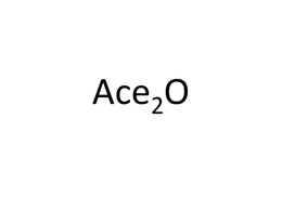 ACE2O trademark