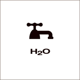 H20 trademark