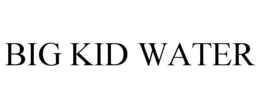BIG KID WATER trademark