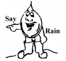SAY RAIN trademark
