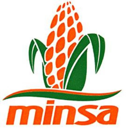 MINSA trademark