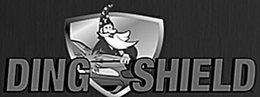 DING SHIELD trademark