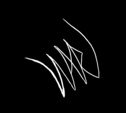 WARI trademark
