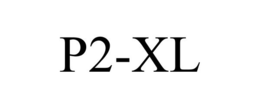 P2-XL trademark