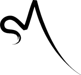 SM trademark