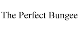 THE PERFECT BUNGEE trademark