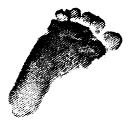 LUCAS trademark
