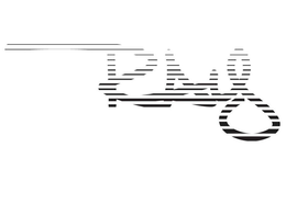 RAY trademark