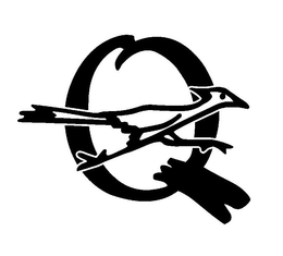 Q trademark