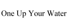 ONE UP YOUR WATER trademark