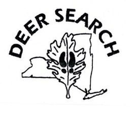 DEER SEARCH trademark