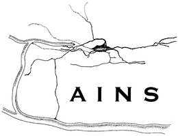 AINS trademark