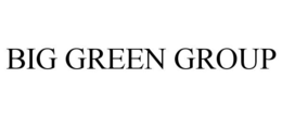 BIG GREEN GROUP trademark