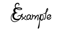 EXAMPLE trademark